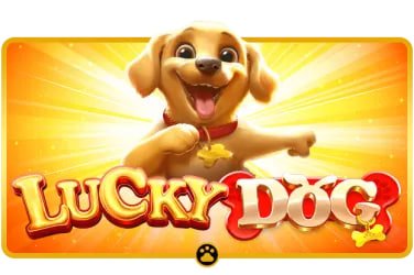 betshoot Live Casino